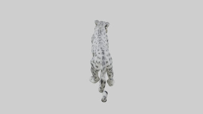 Snow Leopard stalking model 3D model