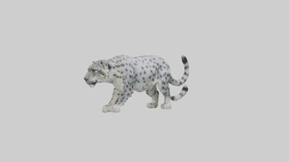 Snow Leopard stalking model 3D model