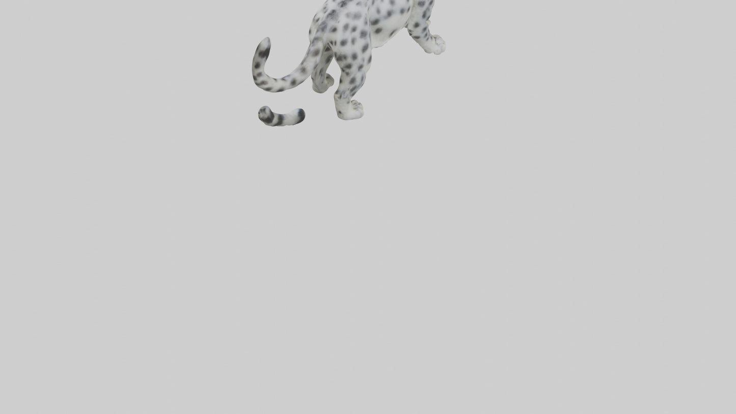 Snow Leopard stalking model 3D model