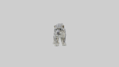 Snow Leopard stalking model 3D model