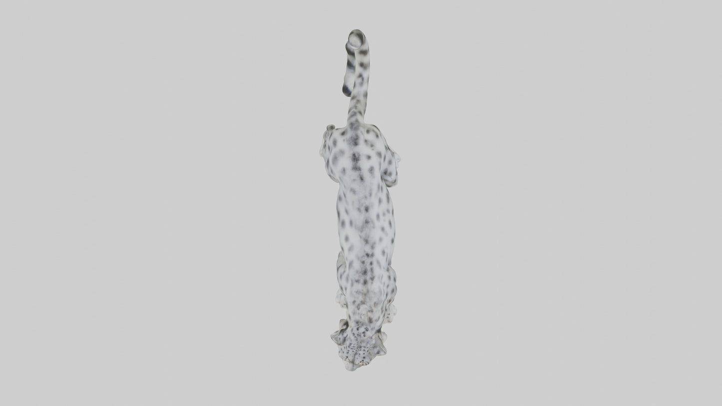 Snow Leopard stalking model 3D model