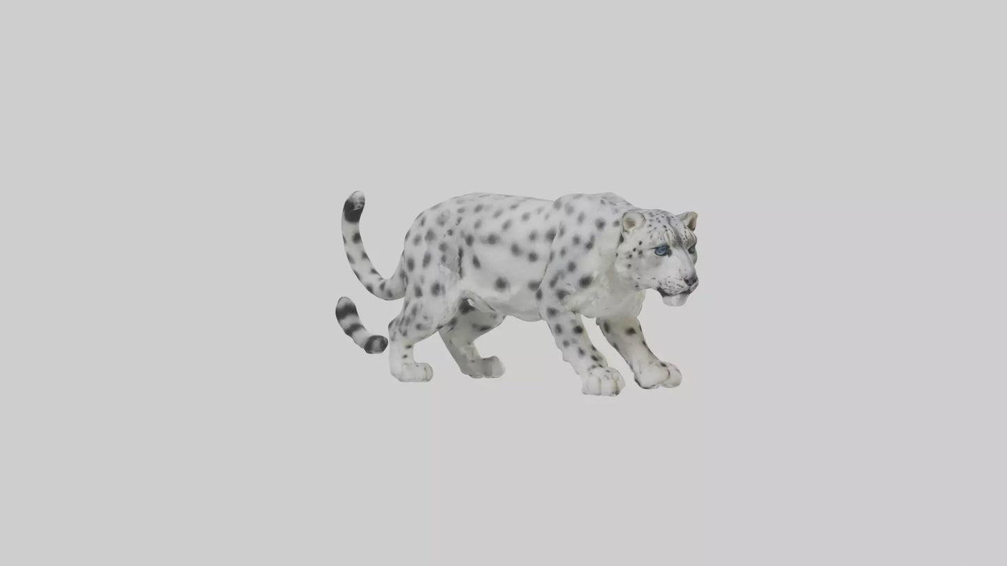 Snow Leopard stalking model 3D model