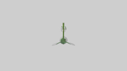 Snowdrop flower model 3D model