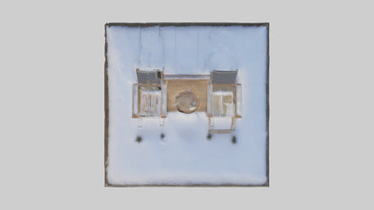 Snowdrop model 3D model