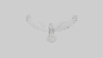 Snowy Owl hunting model 3D model