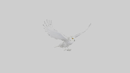 Snowy Owl hunting model 3D model