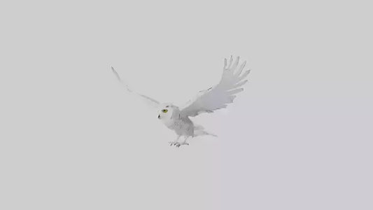 Snowy Owl hunting model 3D model