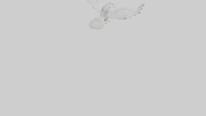 Snowy Owl hunting model 3D model