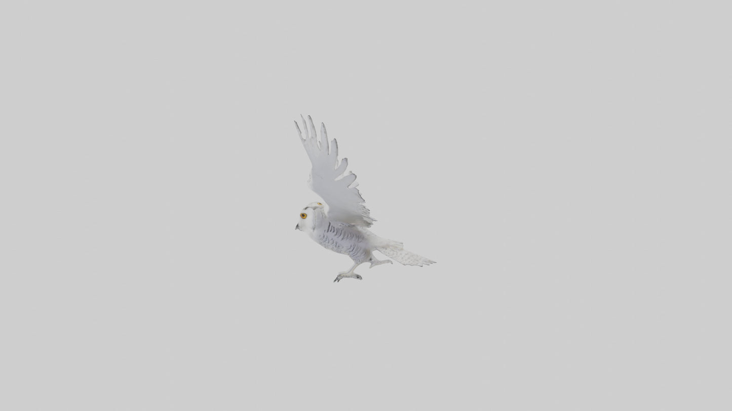 Snowy Owl hunting model 3D model