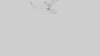 Snowy Owl hunting model 3D model