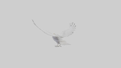 Snowy Owl hunting model 3D model