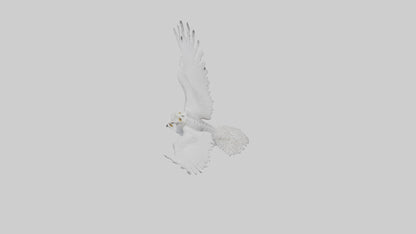 Snowy Owl hunting model 3D model