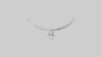 Snowy Owl hunting model 3D model
