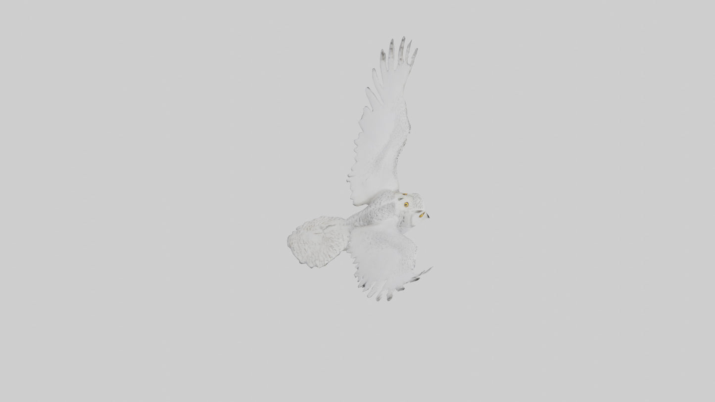 Snowy Owl hunting model 3D model