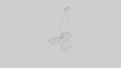 Snowy Owl hunting model 3D model