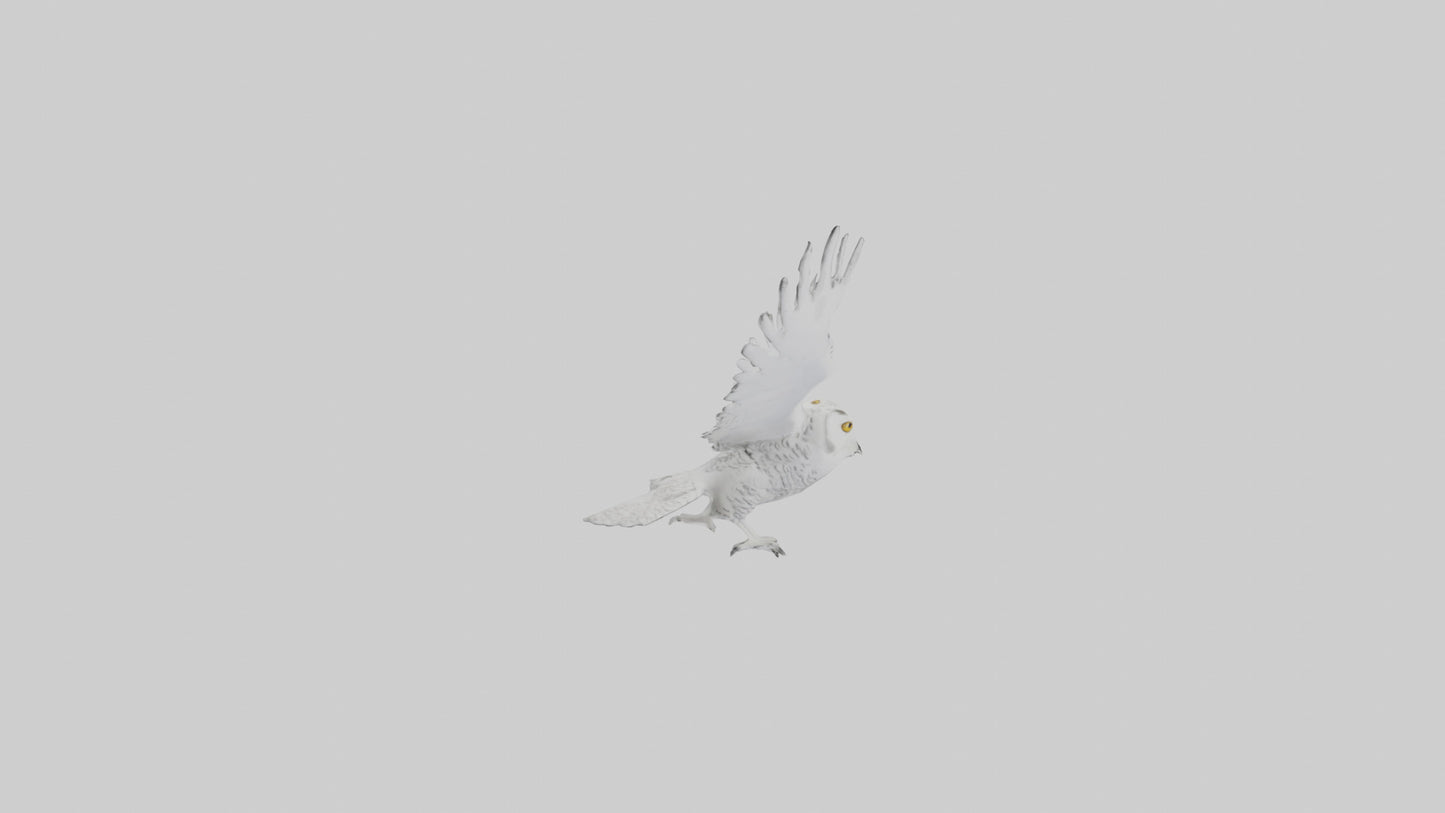 Snowy Owl hunting model 3D model