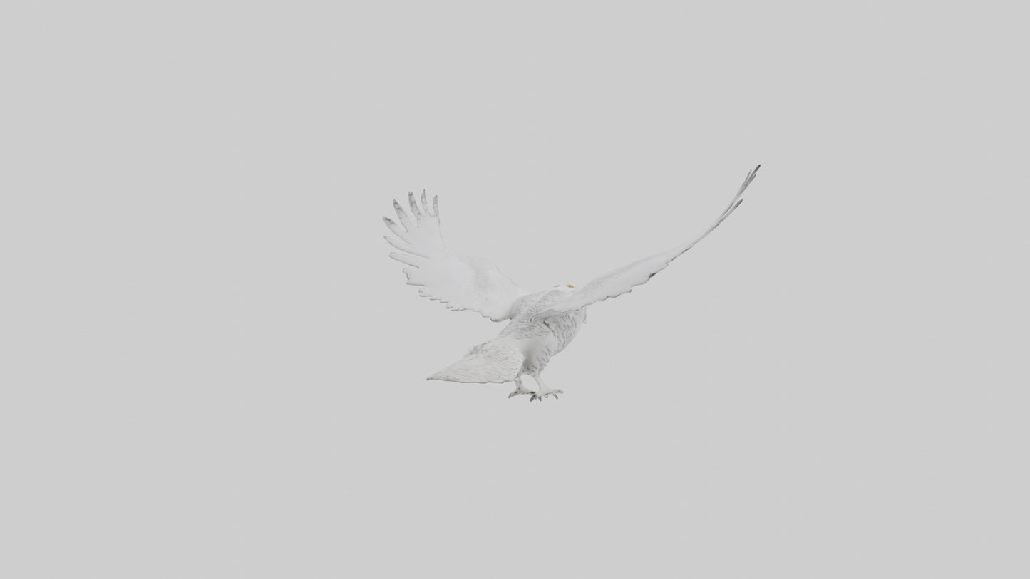 Snowy Owl hunting model 3D model