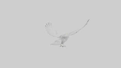 Snowy Owl hunting model 3D model
