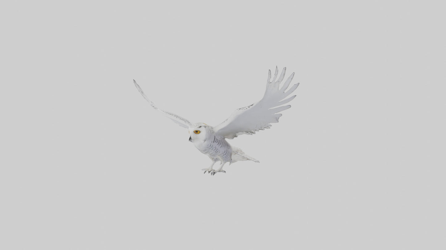 Snowy Owl hunting model 3D model