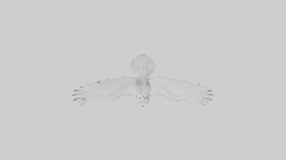 Snowy Owl hunting model 3D model