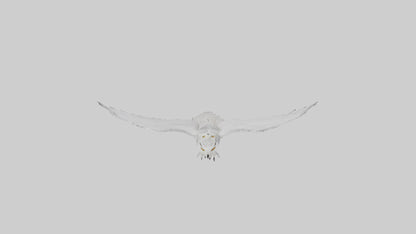 Snowy Owl hunting model 3D model