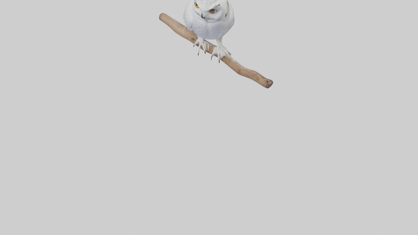 Snowy Owl perched model 3D model