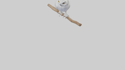 Snowy Owl perched model 3D model