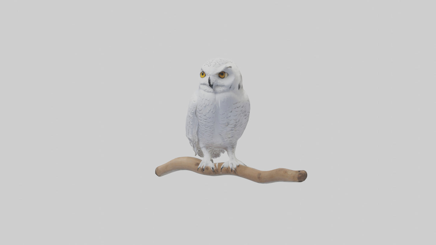 Snowy Owl perched model 3D model