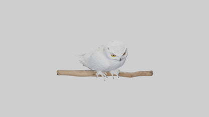 Snowy Owl perched model 3D model