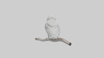 Snowy Owl perched model 3D model