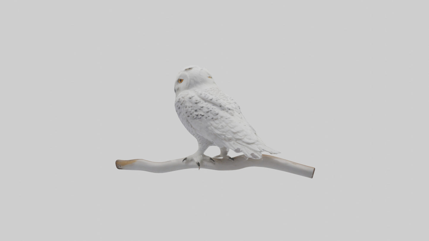 Snowy Owl perched model 3D model