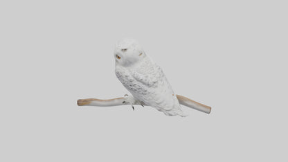 Snowy Owl perched model 3D model