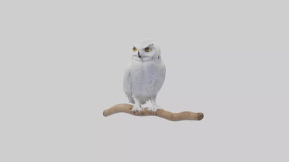 Snowy Owl perched model 3D model