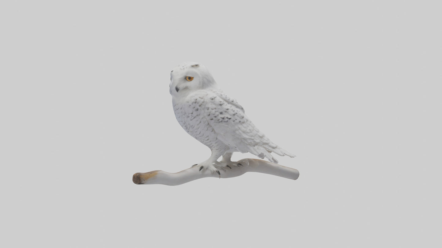 Snowy Owl perched model 3D model