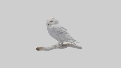 Snowy Owl perched model 3D model