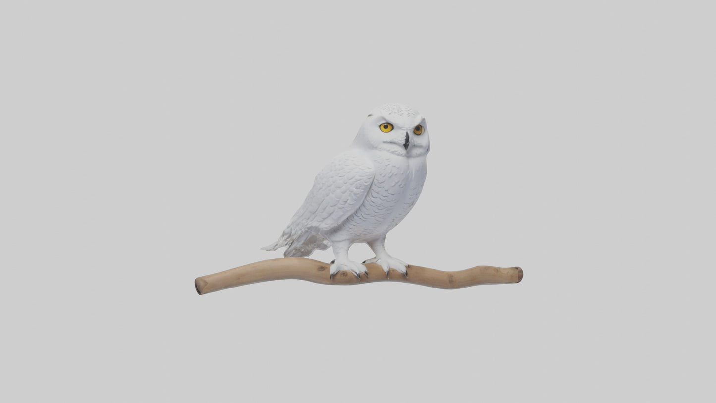 Snowy Owl perched model 3D model