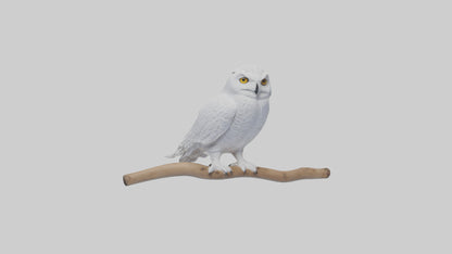 Snowy Owl perched model 3D model