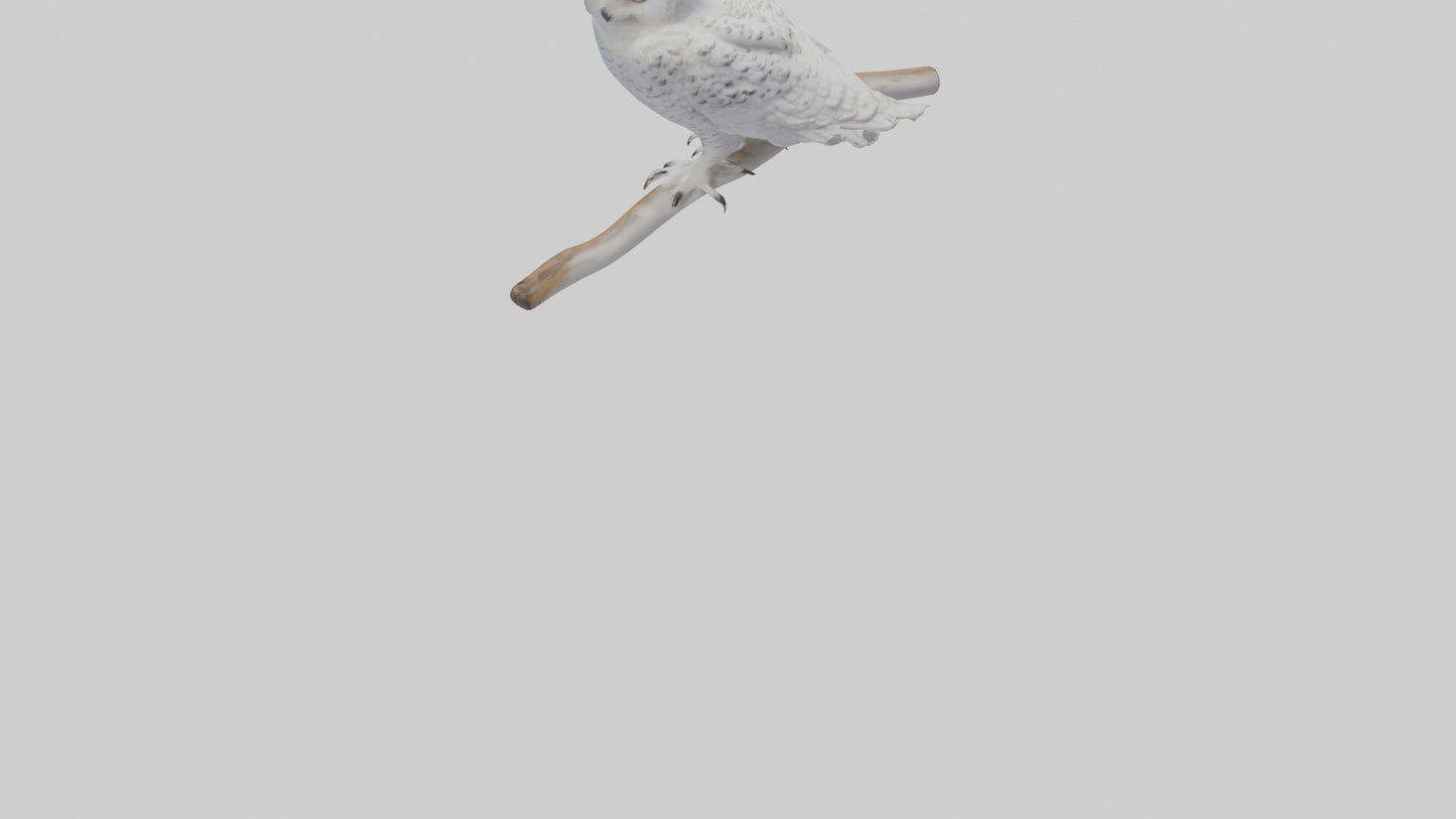 Snowy Owl perched model 3D model