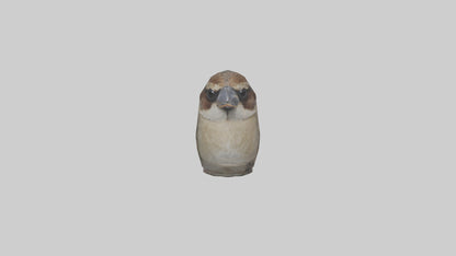 Sparrow Beak 3D model