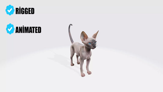 Sphynx Cat Model Animated and Rigged 3D model animated rigged
