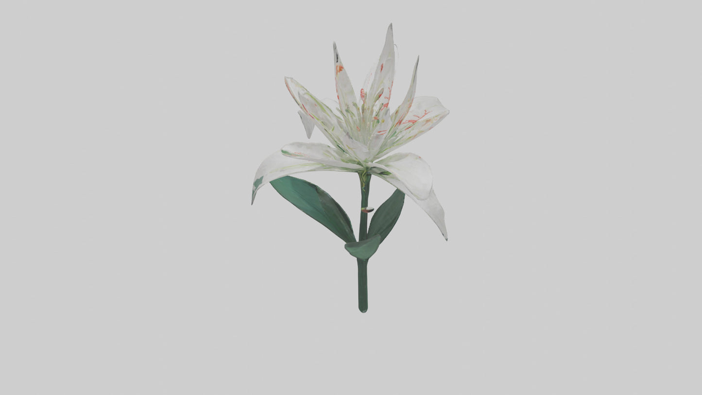 Spider Lily model 3D model