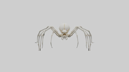 Spider Lily model 3D model