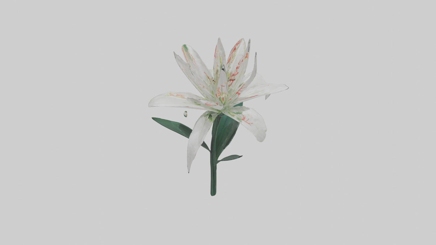 Spider Lily model 3D model