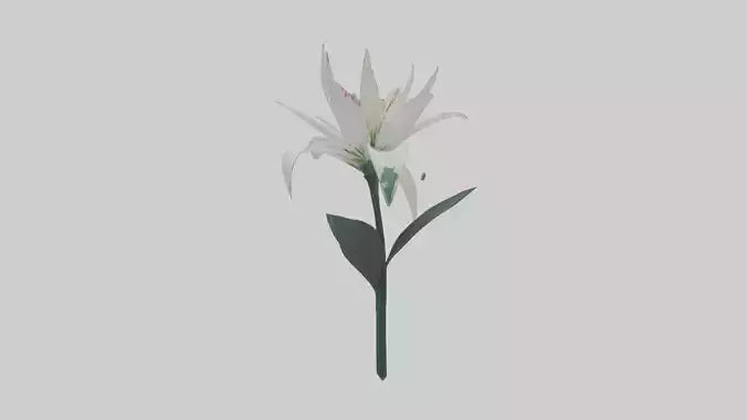 Spider Lily model 3D model