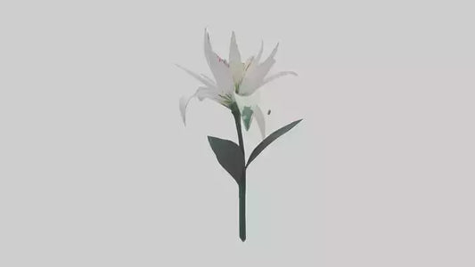 Spider Lily model 3D model