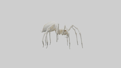 Spider Lily model 3D model