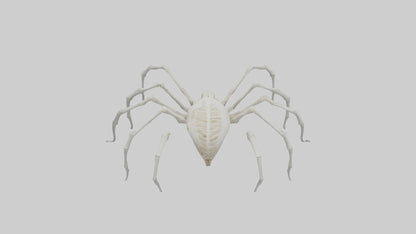 Spider Lily model 3D model