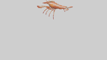 Spiny Lobster crawling model 3D model