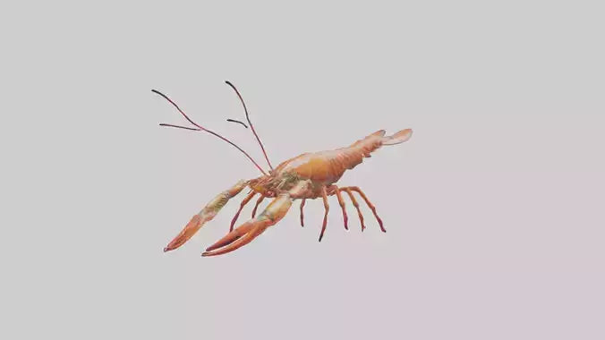Spiny Lobster crawling model 3D model
