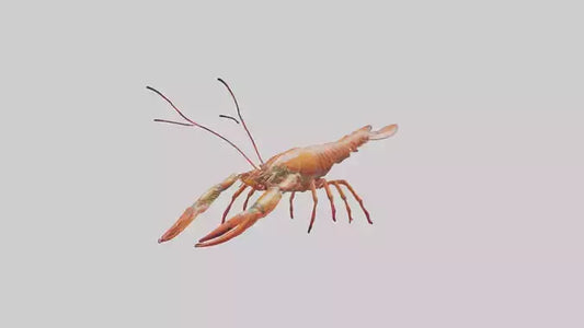Spiny Lobster crawling model 3D model